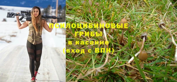 наркотики Белокуриха