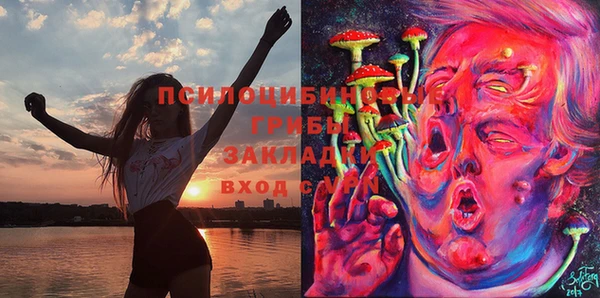 прущая мука Богданович