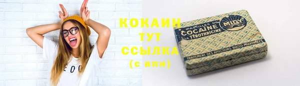 твердый Богородск