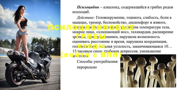 твердый Богородск