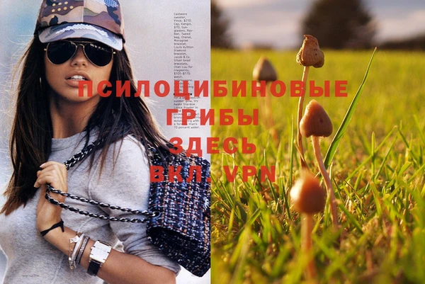 прущая мука Богданович