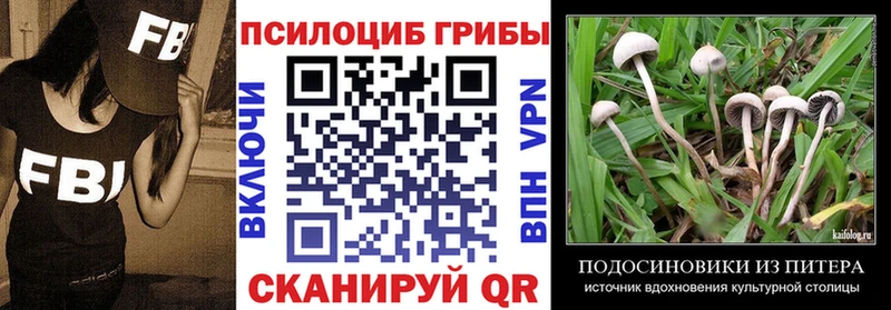 Галлюциногенные грибы Magic Shrooms  Павловск 