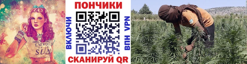 продажа наркотиков  Павловск  Конопля LSD WEED 